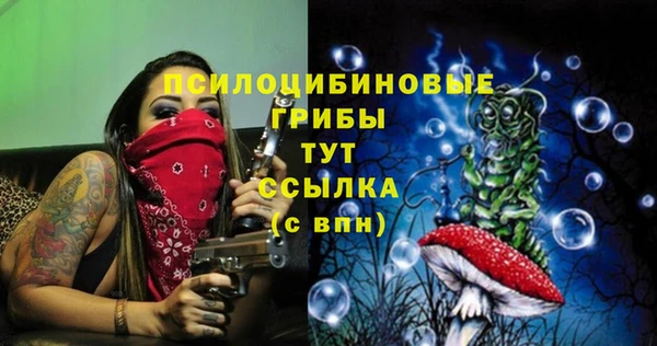ECSTASY Армянск