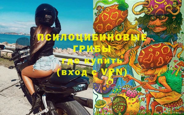 меф Арсеньев