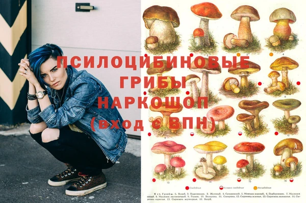 кокс Приозерск